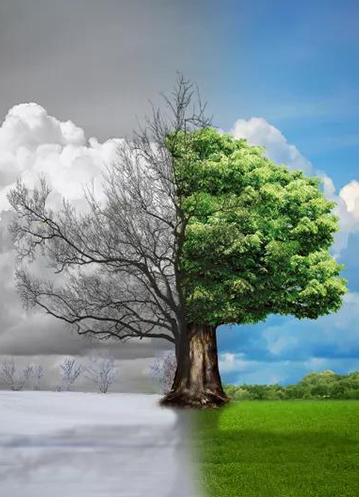 不年轻，无未来