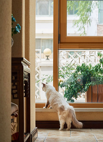 广东省2023年建筑领域节能宣传月在佛山启动